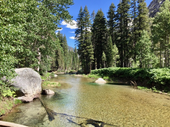 A pleasant stretch of the South Fork Kings River